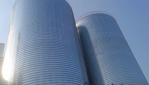 左贡2座混凝土高架卷板仓